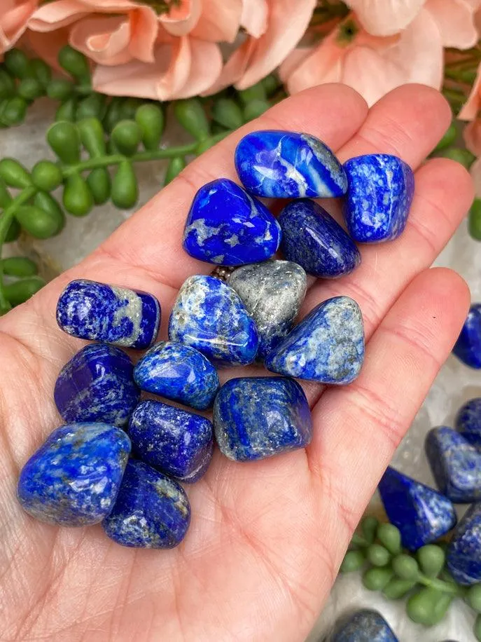 Tumbled Lapis Lazuli