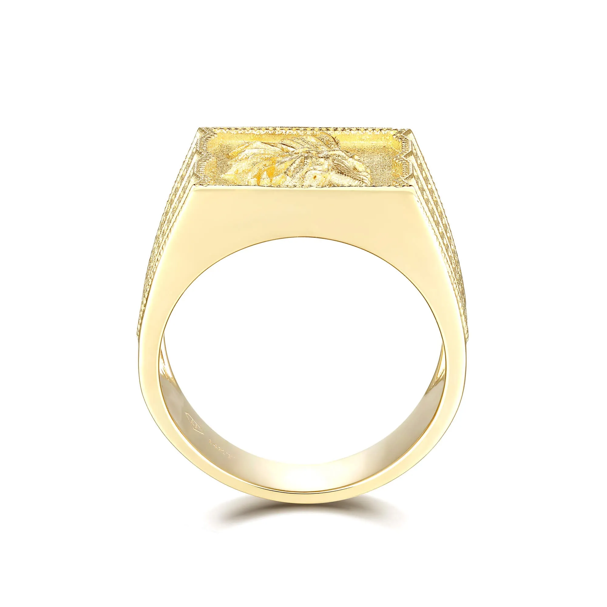 Warrior's Pride Signet Ring